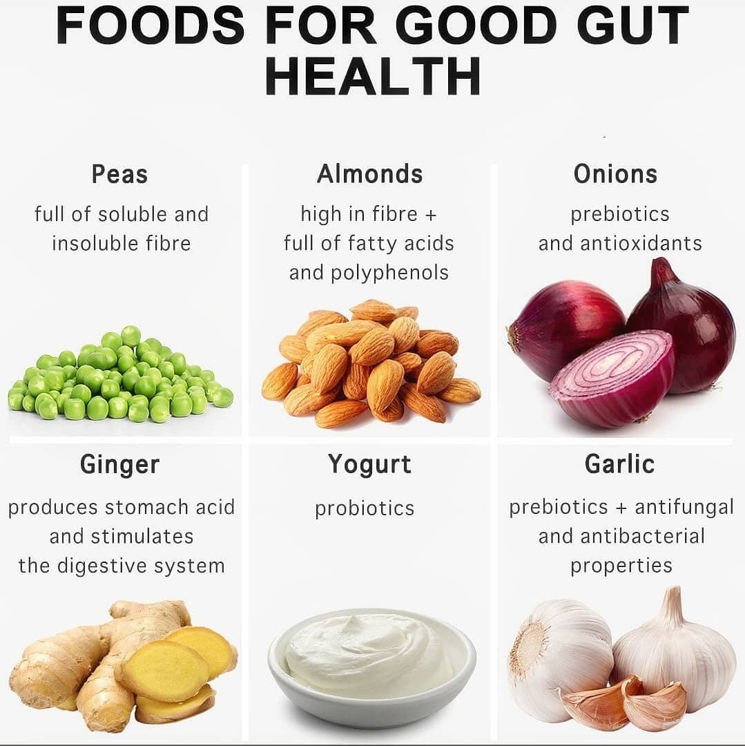 Foods for good gut health